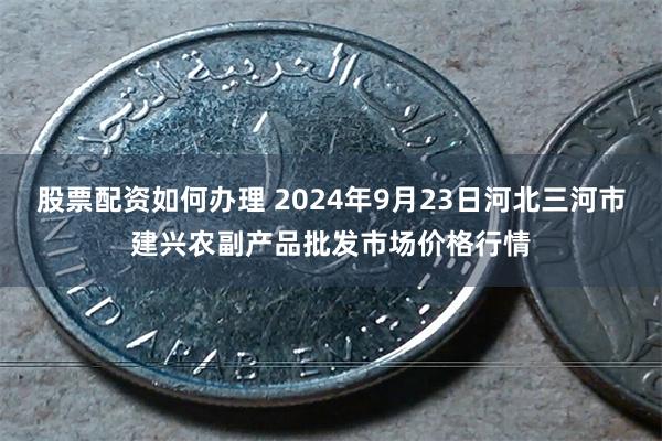 股票配资如何办理 2024年9月23日河北三河市建兴农副产品