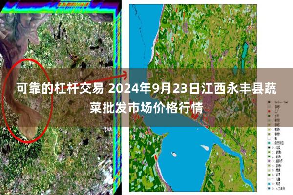 可靠的杠杆交易 2024年9月23日江西永丰县蔬菜批发市场价