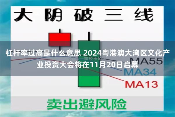 杠杆率过高是什么意思 2024粤港澳大湾区文化产业投资大会将