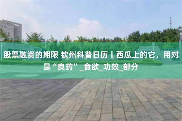股票融资的期限 钦州科普日历丨西瓜上的它，用对是“良药”_食